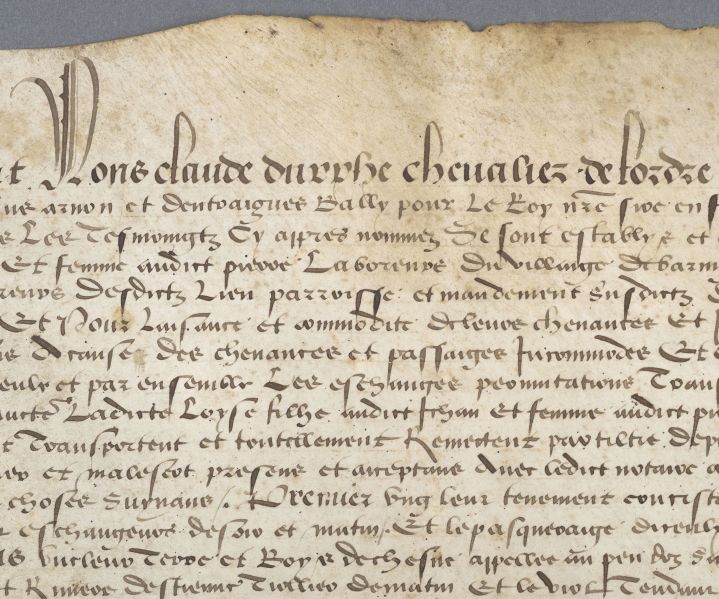 Acte de ratification d'échanges de terre établi sous l'autorité de Claude d'Urfé, bailli de Forez ; © ARCHIVES DEPARTEMENTALES DE LA LOIRE ; ©  ARCHIVES DEPARTEMENTALES DE LA L ;  ; © Archives départementales de la Loire