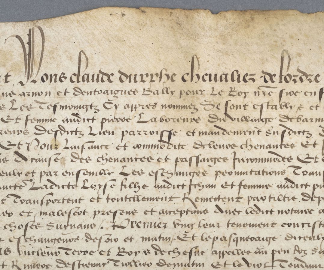 Acte de ratification d'échanges de terre établi sous l'autorité de Claude d'Urfé, bailli de Forez, parchemin, 1554 - détail 
Cote 1J2058