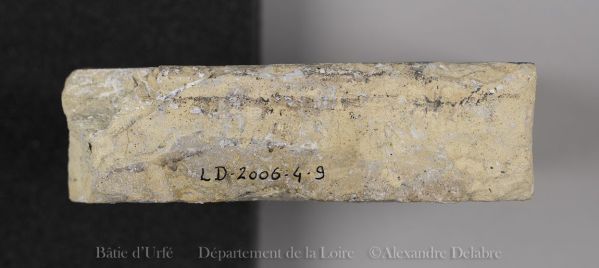 © ARCHIVES DEPARTEMENTALES DE LA LOIRE ; ©  ARCHIVES DEPARTEMENTALES DE LA L