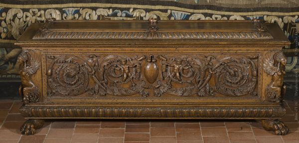 Cassone exposée sous une verdure